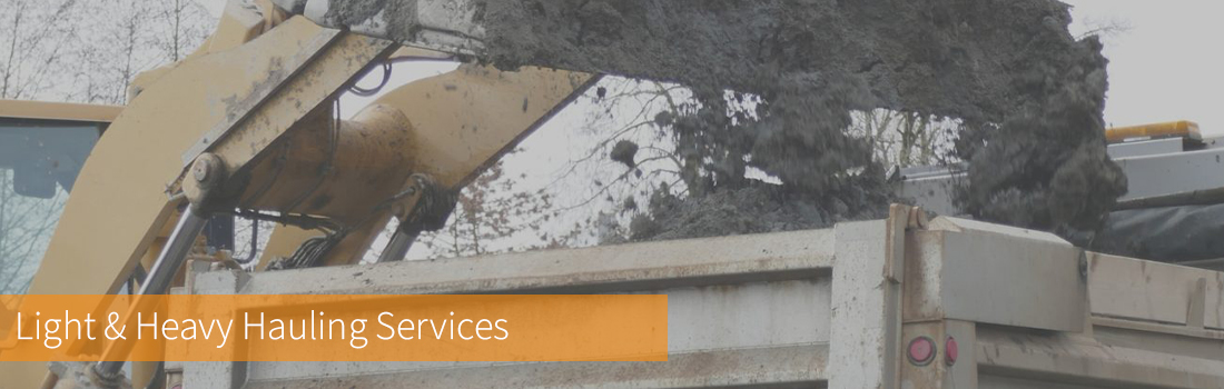 Light and Heavy Hauling Services