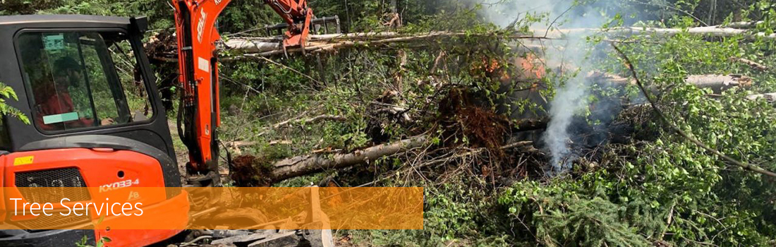 Tree Services